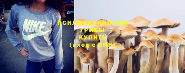 амф Кинешма